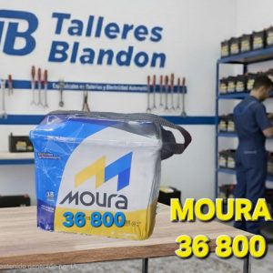 MOURA 36  800